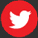 Romanian voice over twitter